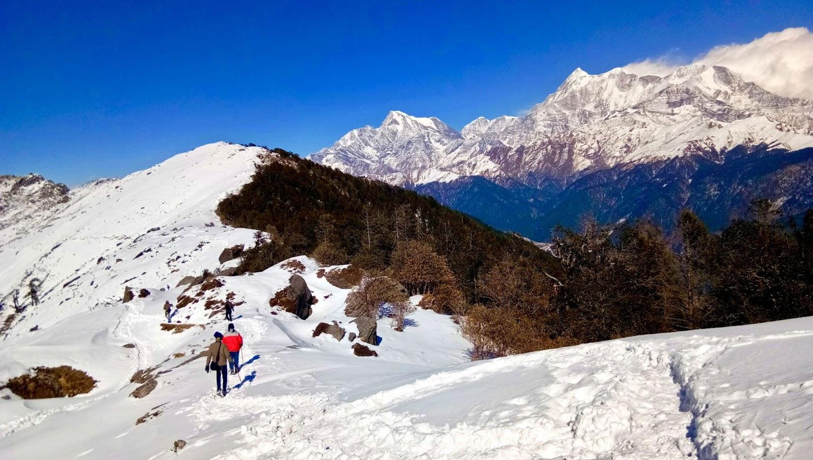 Kauri Pass Trek